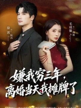 《嫌我穷三年，离婚当天我摊牌了》完整版免费在线观看